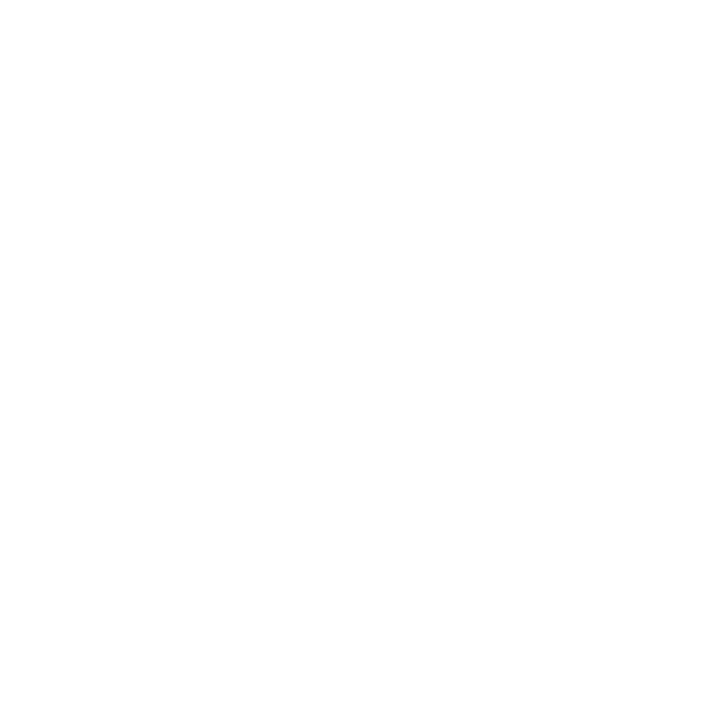 Honcho White Logo – Brand Design by Morph Creative