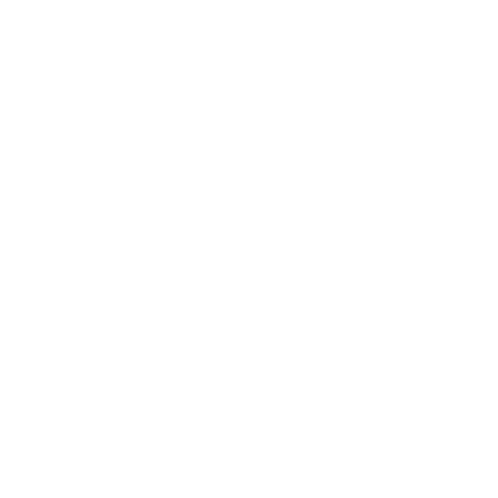 Selectanow White Logo – Business Identity by Morph Creative